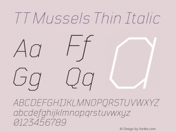 TT Mussels Thin Italic Version 1.000图片样张