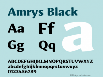 Amrys Black Version 1.00, build 20, g2.5.2.1158, s3图片样张