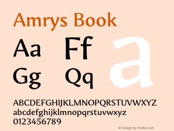 Amrys Book Version 1.00, build 20, g2.5.2.1158, s3图片样张