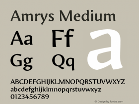 Amrys Medium Version 1.00, build 20, g2.5.2.1158, s3图片样张