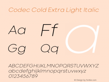 Codec Cold Extra Light Italic 1.000图片样张