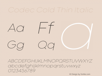 Codec Cold Thin Italic 1.000图片样张