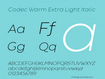 Codec Warm Extra Light Italic 1.000图片样张