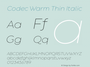 Codec Warm Thin Italic 1.000图片样张
