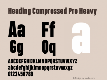 Heading Compressed Pro Heavy Version 1.001图片样张