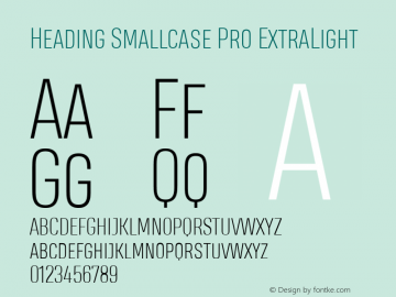 Heading Smallcase Pro ExtLt Version 2.001图片样张