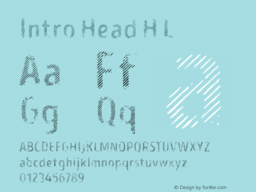 Intro Head H L Version 1.000;PS 001.000;hotconv 1.0.70;makeotf.lib2.5.58329图片样张