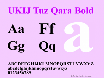 UKIJ Tuz Qara Bold Version 2.00 February 12, 2004图片样张