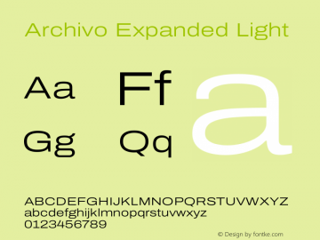 Archivo Expanded Light Version 2.001图片样张