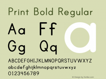 Print Bold Regular Version 1.000 Font Sample