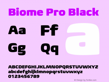 BiomePro-Black Version 1.000图片样张