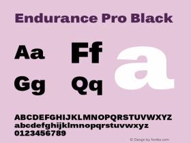 Endurance Pro Black Version 1.01图片样张