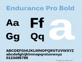 Endurance Pro Bold Version 1.2图片样张