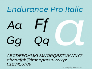 Endurance Pro Italic Version 1.00图片样张