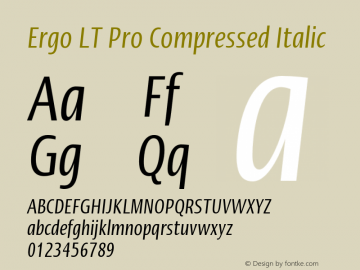 ErgoLTPro-CompressedItalic Version 1.000;PS 001.000;hotconv 1.0.38图片样张