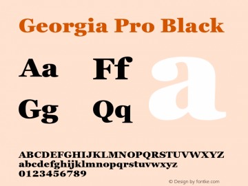 Georgia Pro Black Version 6.02图片样张