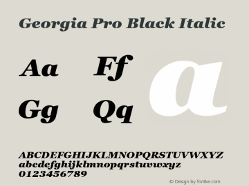 Georgia Pro Black Italic Version 6.02图片样张