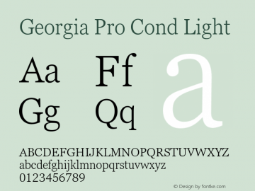 Georgia Pro Cond Light Version 6.02图片样张