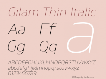 Gilam Thin Italic Version 1.000;PS 001.000;hotconv 1.0.88;makeotf.lib2.5.64775图片样张