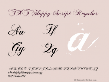TXT Sloppy Script Regular Version 1.00 2006 initial release图片样张