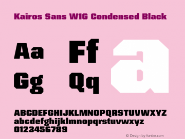 Kairos Sans W1G Cn Black Version 1.00图片样张