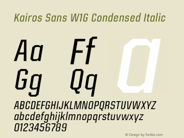 Kairos Sans W1G Cn It Version 1.00图片样张