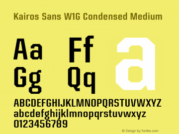 Kairos Sans W1G Cn Medium Version 1.00图片样张