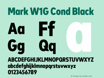 Mark W1G Cond Black Version 1.00, build 9, g2.6.4 b1272, s3图片样张