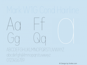 Mark W1G Cond Hairline Version 1.00, build 9, g2.6.4 b1272, s3图片样张