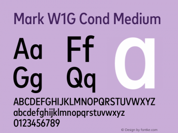 Mark W1G Cond Medium Version 1.00, build 9, g2.6.4 b1272, s3图片样张