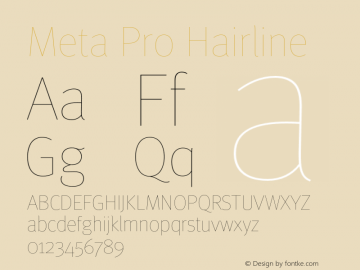 Meta Pro Hairline Version 7.600, build 1027, FoPs, FL 5.04图片样张