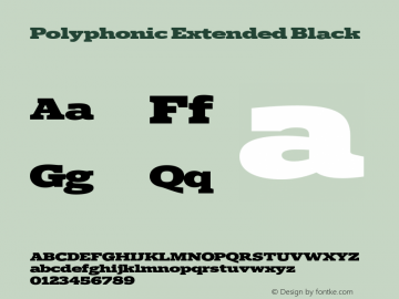 Polyphonic Extended Black Version 1.000;PS 001.000;hotconv 1.0.88;makeotf.lib2.5.64775图片样张