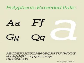 Polyphonic Extended Italic Version 1.000;PS 001.000;hotconv 1.0.88;makeotf.lib2.5.64775图片样张