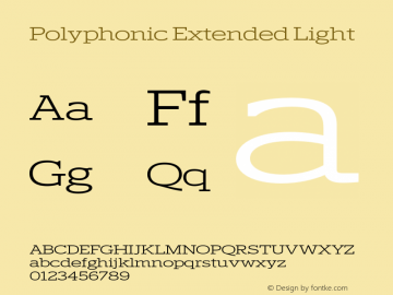 Polyphonic Extended Light Version 1.000;PS 001.000;hotconv 1.0.88;makeotf.lib2.5.64775图片样张