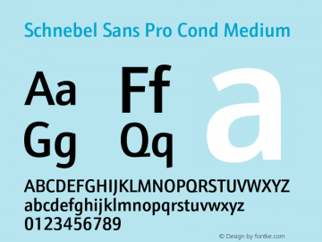 SchnebelSansProCond-Medium Version 1.000;PS 1.00;hotconv 1.0.57;makeotf.lib2.0.21895图片样张