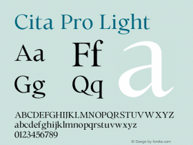 Cita Pro Light Version 1.00图片样张