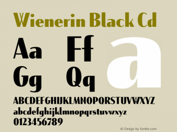 Wienerin Black Cd Version 1.000;FEAKit 1.0图片样张