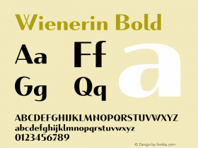 Wienerin Bold Version 1.000;FEAKit 1.0图片样张
