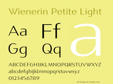 Wienerin Petite Light Version 1.000;FEAKit 1.0图片样张