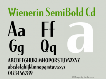 Wienerin SemiBold Cd Version 1.000;FEAKit 1.0图片样张