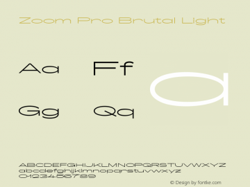 Zoom Pro Brutal Light Version 4.000;PS 004.000;hotconv 1.0.88;makeotf.lib2.5.64775图片样张
