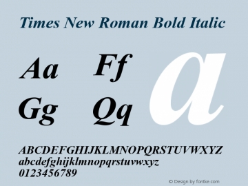 Times New Roman Bold Italic Version 7.04图片样张