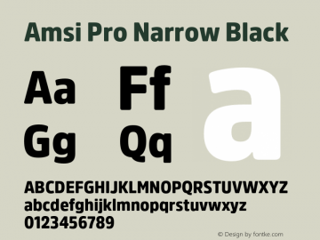 Amsi Pro Narrow Black Version 2.100;hotconv 1.0.109;makeotfexe 2.5.65596图片样张