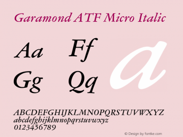 Garamond ATF Micro Italic Version 1.007;PS 1.006;hotconv 1.0.81;makeotf.lib2.5.63406图片样张