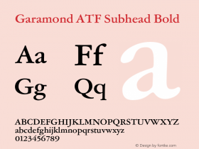 Garamond ATF Subhead Bold Version 1.007;PS 1.006;hotconv 1.0.81;makeotf.lib2.5.63406图片样张