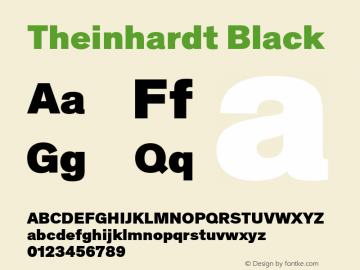 Theinhardt-Black Version 4.003; build 0008图片样张