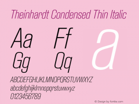 TheinhardtCondensed-ThinItalic Version 1.002; build 0002图片样张