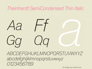 TheinhardtSemiCondensed-ThinItalic Version 1.002; build 0002图片样张