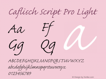 CaflischScriptPro-Light Version 2.015;PS 2.000;hotconv 1.0.51;makeotf.lib2.0.18671图片样张