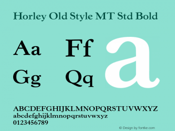 HorleyOldStyleMTStd-Bold Version 2.035;PS 002.000;hotconv 1.0.51;makeotf.lib2.0.18671图片样张